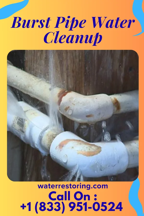 Burst Pipe Water Cleanup in Greenup, IL